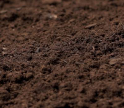 Terreau Organique